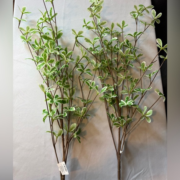 Hearth & Hand W/Magnolia Terminalia Leaf Stem - Qty 2 - NWT - Picture 3 of 7